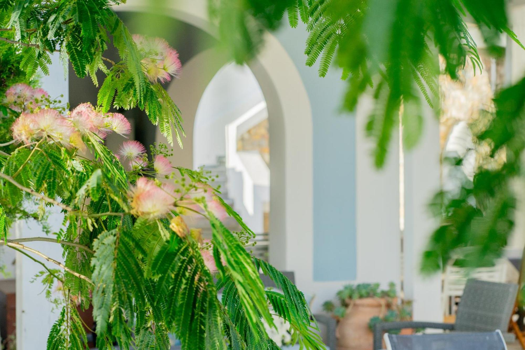 Villa Acacia Ponza Kültér fotó