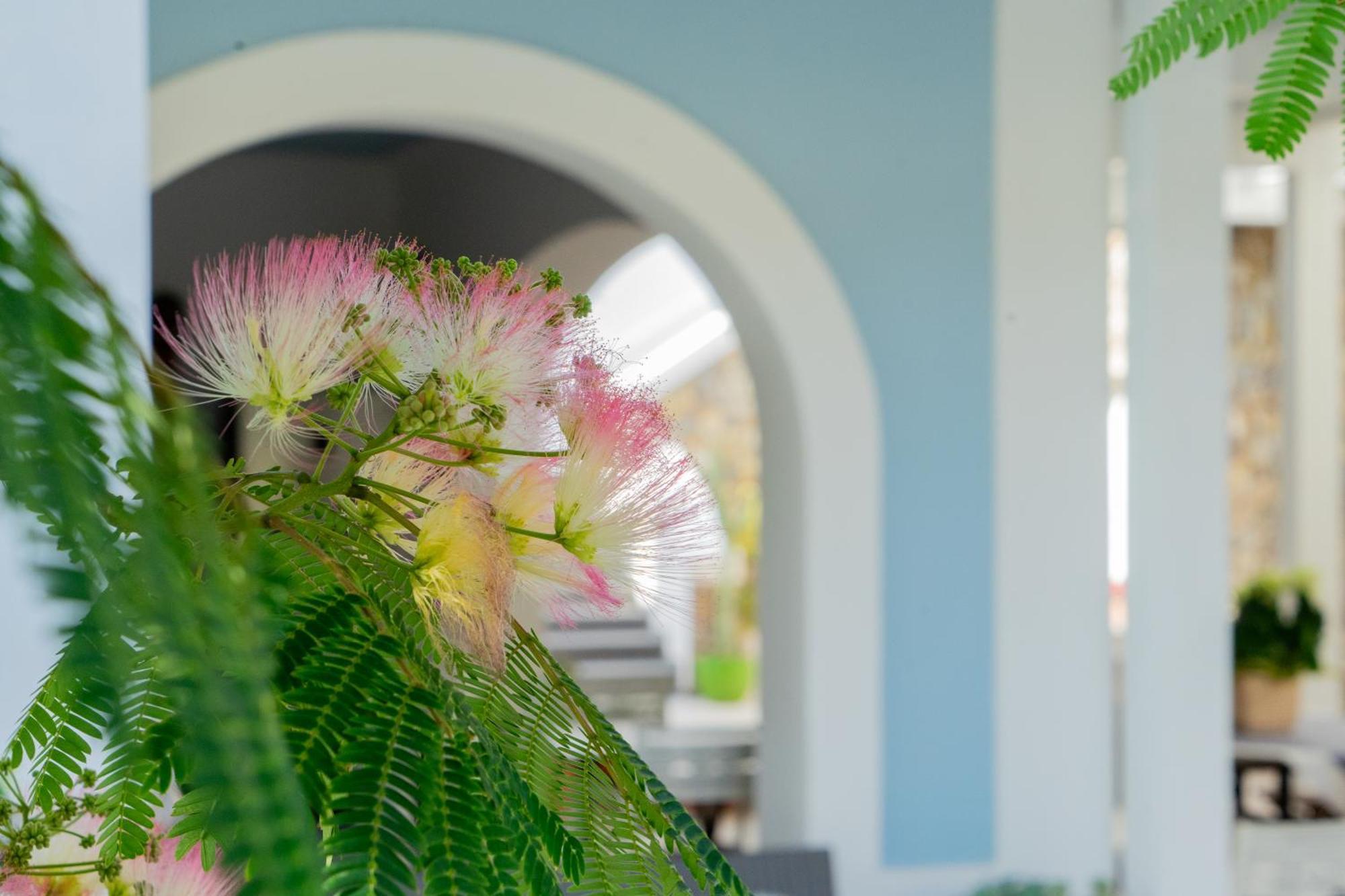 Villa Acacia Ponza Kültér fotó